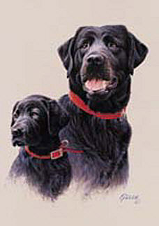 Black Labs Flags