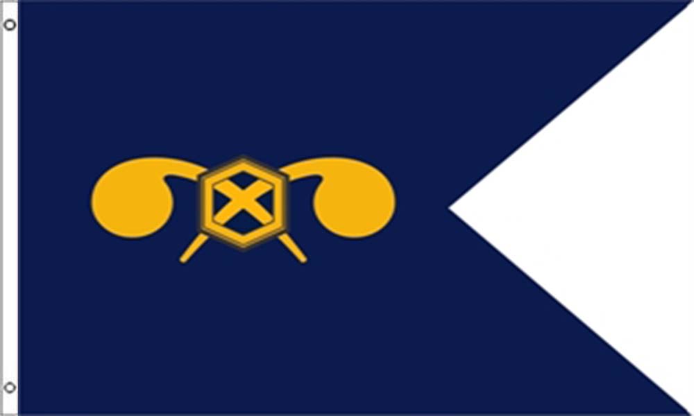 Chemical Corps Guidons Flags are double sided and made from high