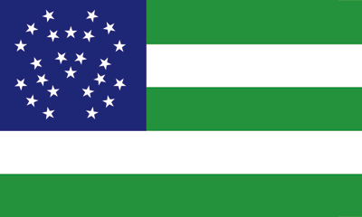 NYPD Outdoor Flags