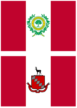 Raleigh NC Flags