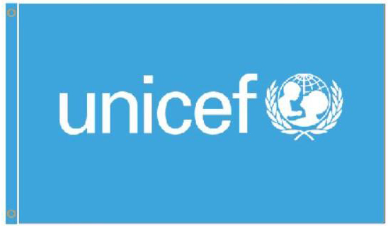 UNICEF Organization Flags