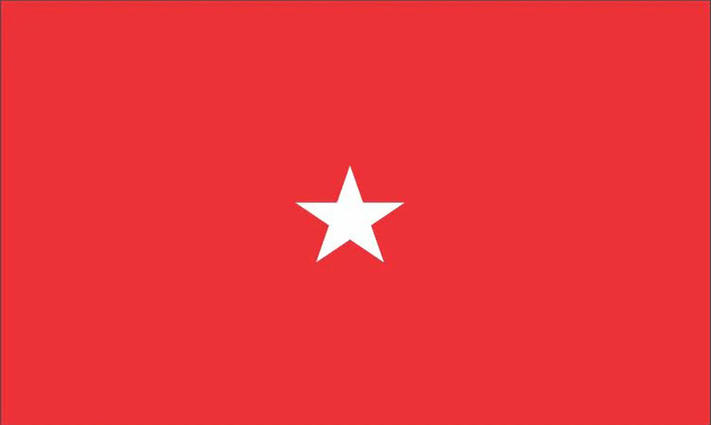 US Army Brigadier General Flags